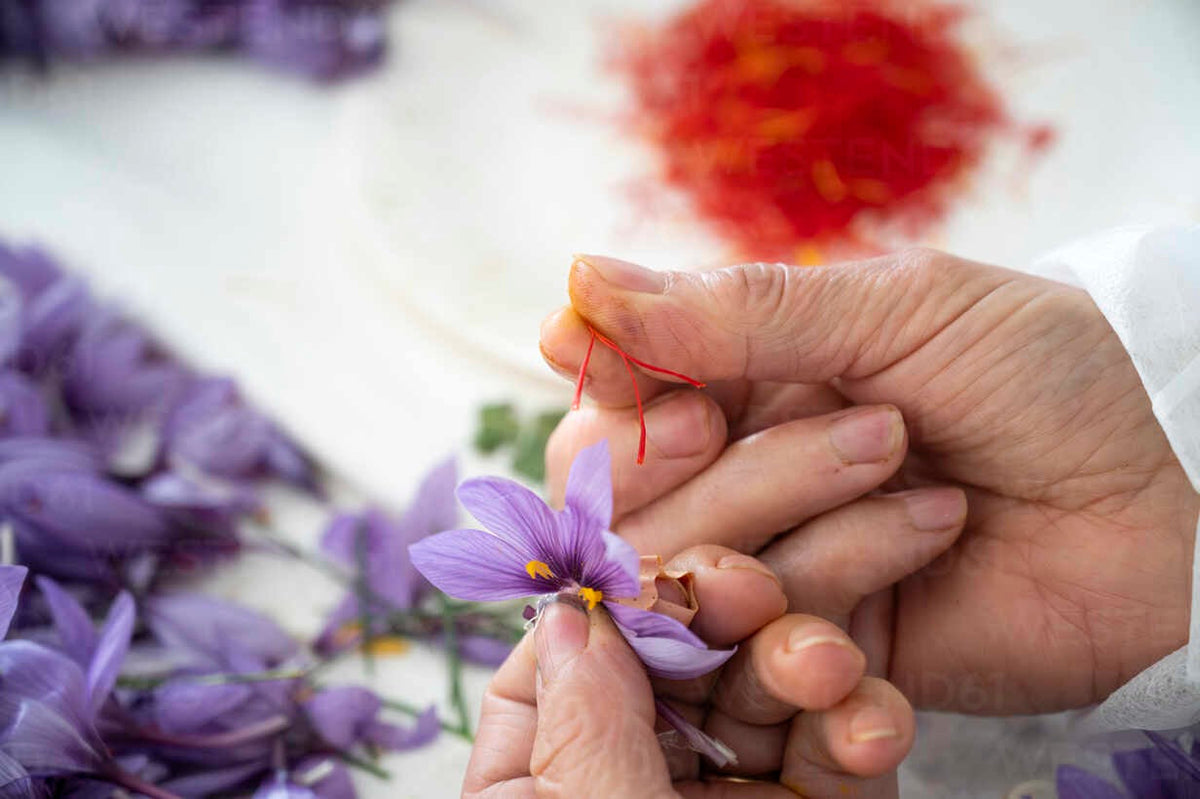 Best Saffron for Cooking: A Complete Buyer's Guide