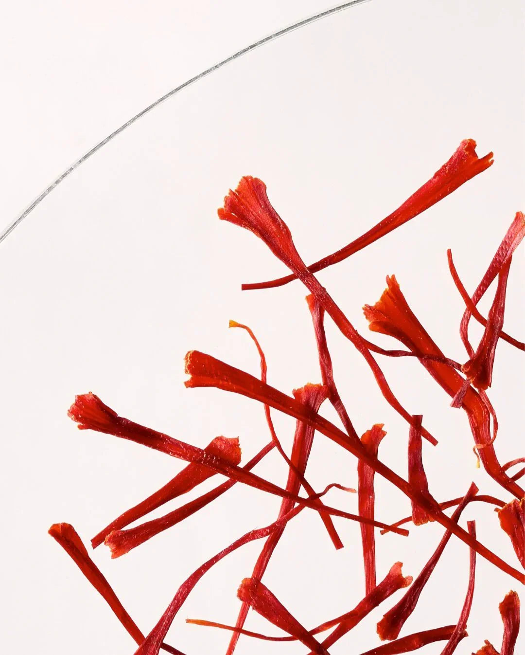 Premium lab-tested saffron threads from Saffronia, the best saffron available in Calgary, Alberta