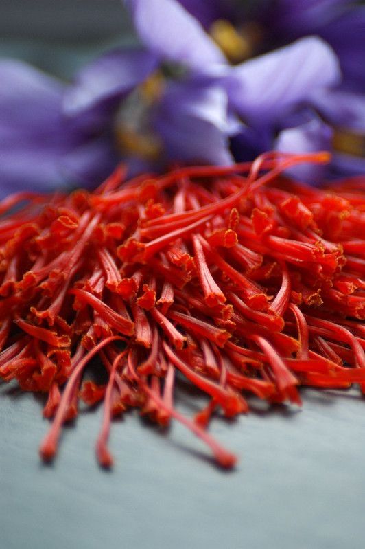 Premium Spices in Calgary: A Gourmet Ingredient Guide for Serious Home Cooks